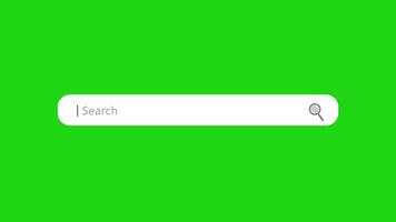 Search Bar Animation with Green Screen for Website SEO and Internet Optimization. 4K Resolution video