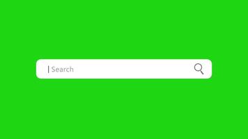 Search Bar Animation with Green Screen for Website SEO and Internet Optimization. 4K Resolution video