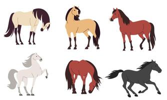 Set of flat illustrations on white background. Horses of different colors and breeds vector