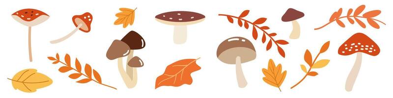 Set of flat illustrations on white background in children's style. Autumn leaves and different mushrooms vector