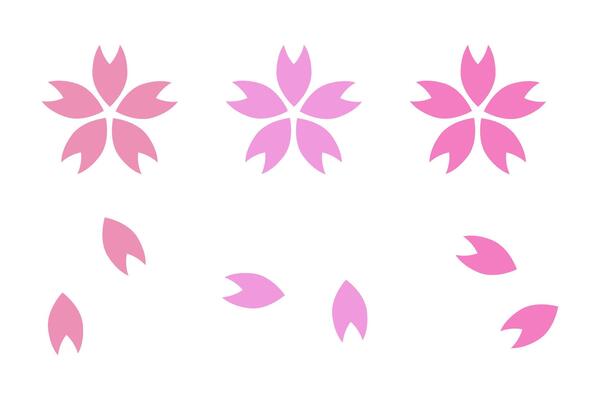 Cherry blossom icon and cherry blossom petal icon set.