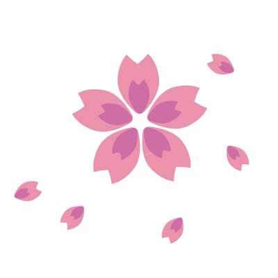 Scattered cherry petals. The season of spring.