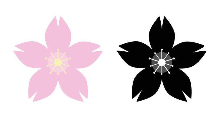 Cherry blossom icon and silhouette.