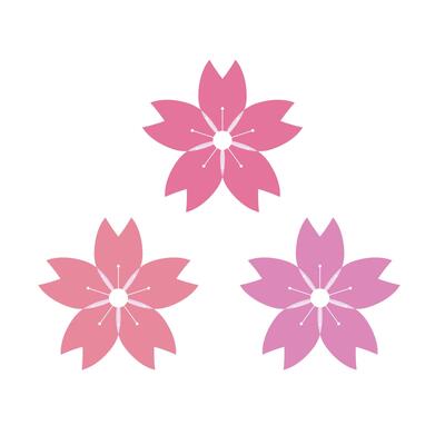 Cherry blossoms in three different colors.