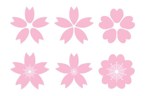 Cherry blossom icon set. Petals of spring season. .