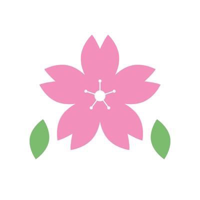 Cherry blossom and green leaves.