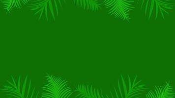 Animated of palm tropical plant background with hand drawing technique and green color. Loop playback on 4K. Suitable for wallpaper, presentations, banners, etc. video