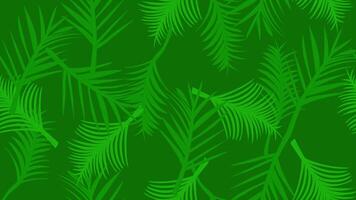Animated background pattern of palm tropical plants with hand drawn dark green color. Loop playback on 4K. Suitable for wallpaper, presentations, banners, etc. video