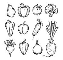 Vegetable and fruits pattern set vector
