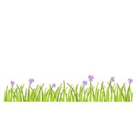 Grass with flower vector