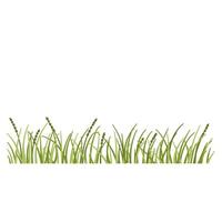 Grass with flower vector