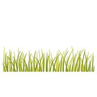Grass with flower vector