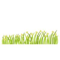 Grass with flower vector