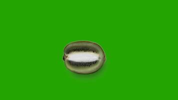 Kiwi on a green background video