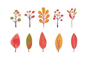 Autumn set. Folk plants. Pink, orange and yellow trees. Simple branches with red berries vector
