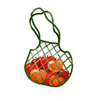 Mesh bag with oranges, apples, watermelons, bottles of water and vector