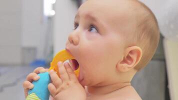 Adorable Baby Joyfully Chews on Colorful Plush Toy While Exploring New Sensations video