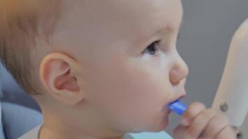Delightful Baby Discovering Toothbrushing Techniques in Sunny Nursery Setting video