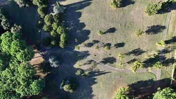 Serene Aerial View of a Lush Green Park With Winding Pathways and Tall Trees at Dawn video