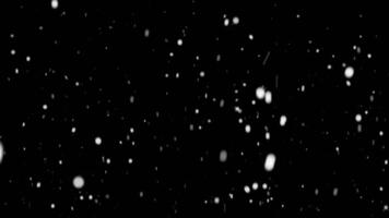 snow on a black background, snow falling particle animation, nature video