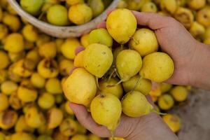 Yellow pears in a basket on the counter of a farmers market. photo