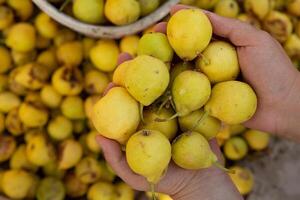 Yellow pears in a basket on the counter of a farmers market. photo