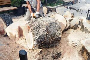 Stack of hardwood logs create a rustic landscape in front of the house photo