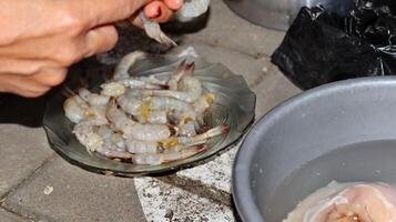 Hands peeling shrimps, preparing for cooking photo