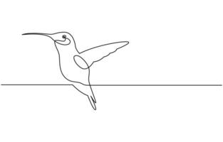 Continuous one line drawing of flying hummingbird. One line drawing illustration of colibri. Flying animal concept Single line, Hummingbird one line art design vector