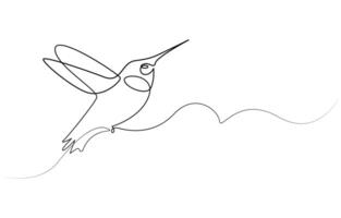 Continuous one line drawing of flying hummingbird. One line drawing illustration of colibri. Flying animal concept Single line, Hummingbird one line art design vector