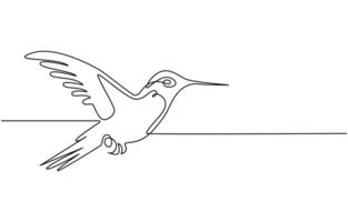 Continuous one line drawing of flying hummingbird. One line drawing illustration of colibri. Flying animal concept Single line, Hummingbird one line art design vector