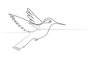Continuous one line drawing of flying hummingbird. One line drawing illustration of colibri. Flying animal concept Single line, Hummingbird one line art design vector