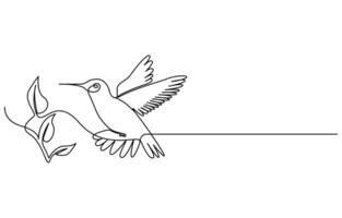 Continuous one line drawing of flying hummingbird. One line drawing illustration of colibri. Flying animal concept Single line, Hummingbird one line art design vector