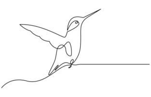 Continuous one line drawing of flying hummingbird. One line drawing illustration of colibri. Flying animal concept Single line, Hummingbird one line art design vector