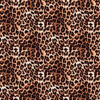 Leopard, cheetah, Jaguar skin seamless repeat allover pattern design illustration background vector