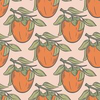 Colorful background with persimmon on branch with leaves vector