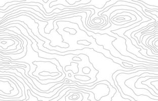 Wood grain white texture. Seamless wooden pattern. Abstract line background. Tree fiber vector