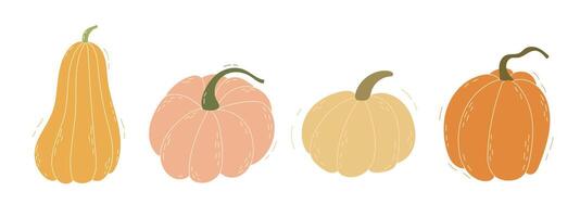 Hand drawn pumpkin set. Autumn, fall, thanksgiving and halloween decoration. vector