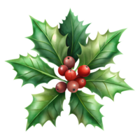Christmas holly with red berries and green leaves on a transparent background, for use in a Christmas theme png