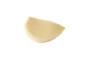Side view of white garlic clove isolated with clipping path in file format png