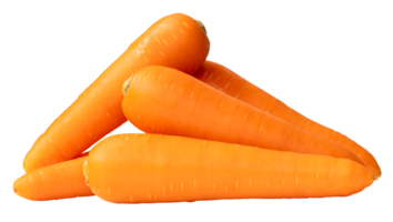 Side view of fresh orange carrots in stack isolated with clipping path in file format png