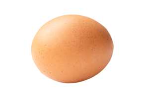 Side view of single brown chicken egg isolated in file format png