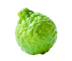 Side view of single fresh green bergamot fruit isolated with clipping path in file format png