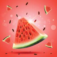 Fresh Slice watermelon isolated on a red background, and juicy watermelon. vector