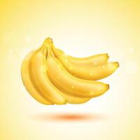Set of realistic yellow Banana illustration with Background vector