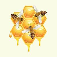 Honeycomb dropping with Bees . vector