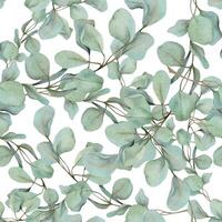 Eucalyptus laurel branches, leaves with red berries. Watercolor hand drawn illustration, seamless pattern isolated on white. Xmas, happy new year festive, noel navidad. Print paper, textile, fabric vector