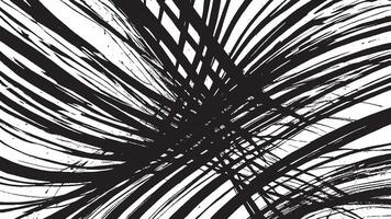 Black Monochrome Artistic Brush Strokes for Textured Background Overlays vector