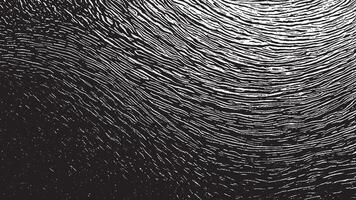 Abstract Black Brush Strokes Texture for Monochrome Background Overlays vector