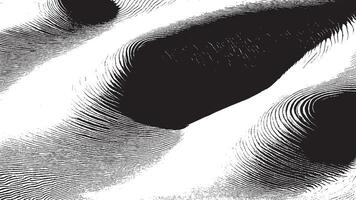 Monochrome Illustration, Black Texture on White Background for Overlays and Textures vector
